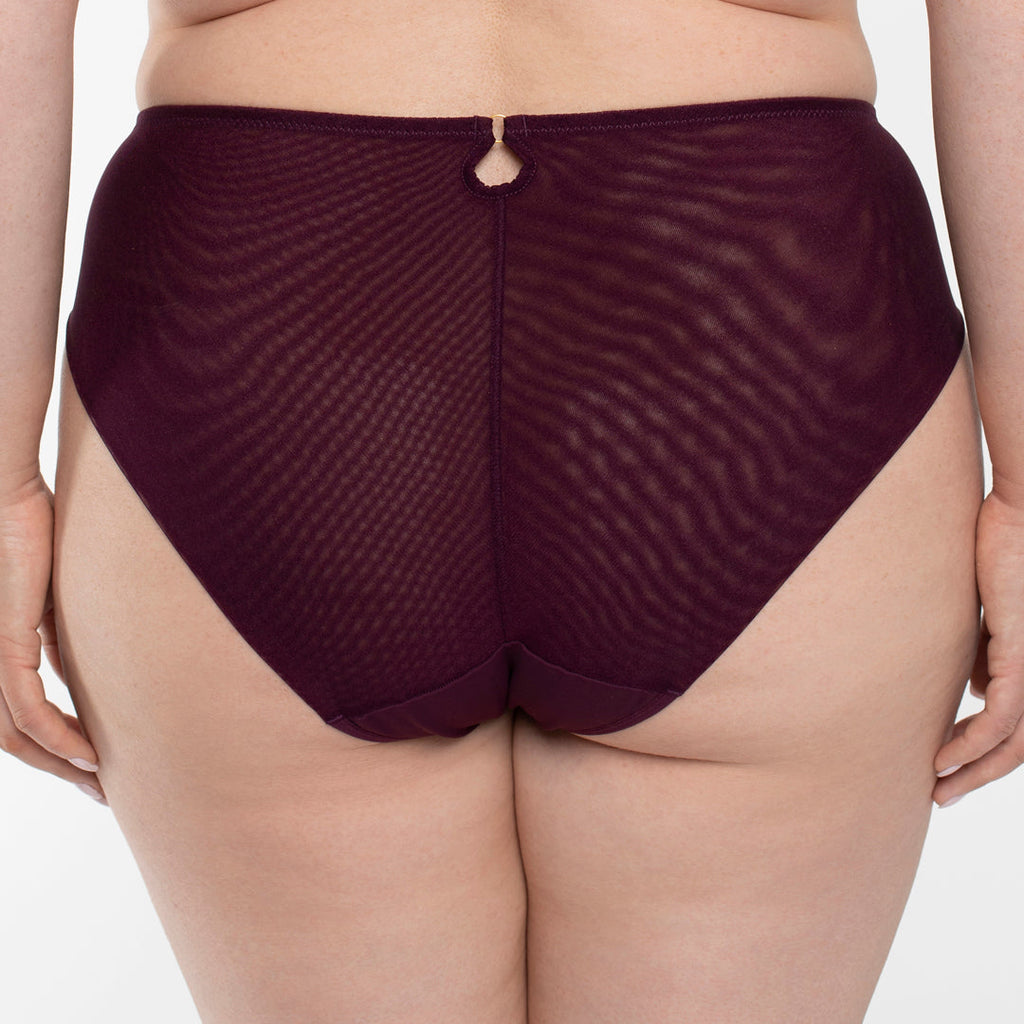Sheer Mesh Tulle Embroidered Brief Panty Perla Aubergine